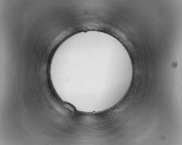 X0000090740250200708172013