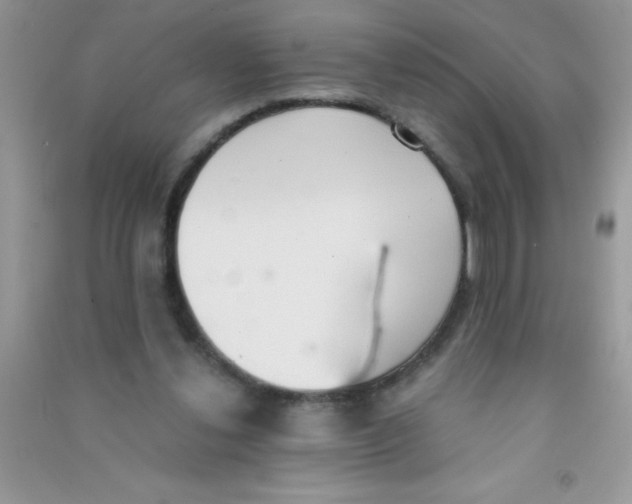 X0000090740252200708172013