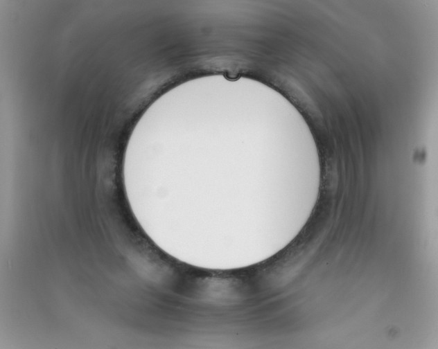 X0000090740255200708172013