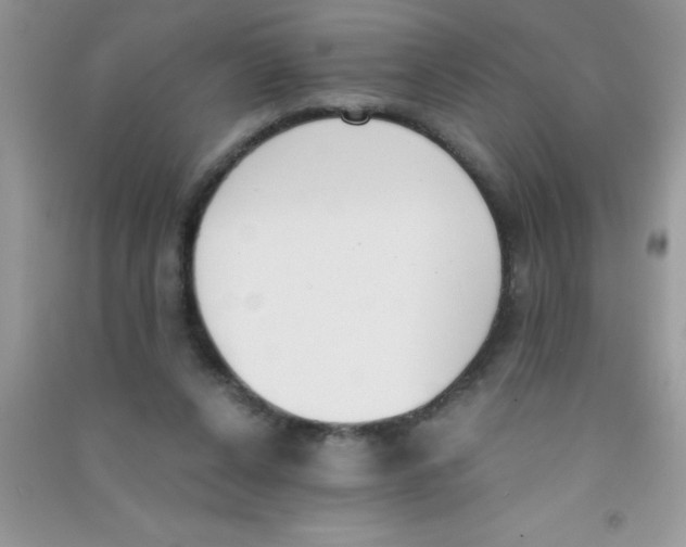 X0000090740256200708172013