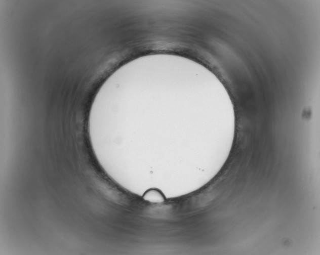 X0000090740257200708172013