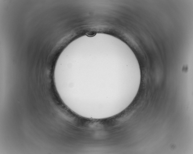 X0000090740258200708172013