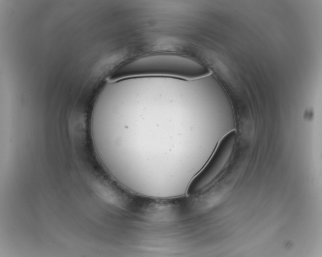 X0000090740260200708172013