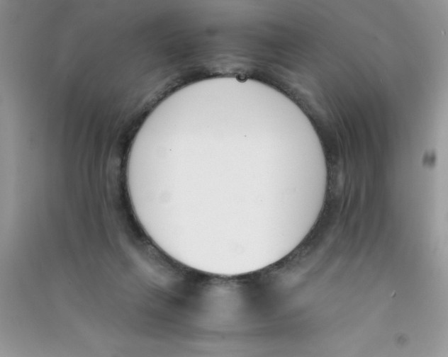 X0000090740263200708172013