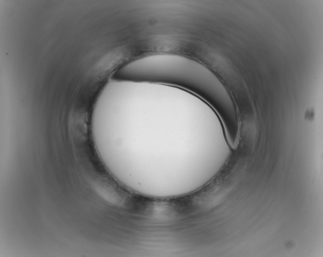 X0000090740264200708172013