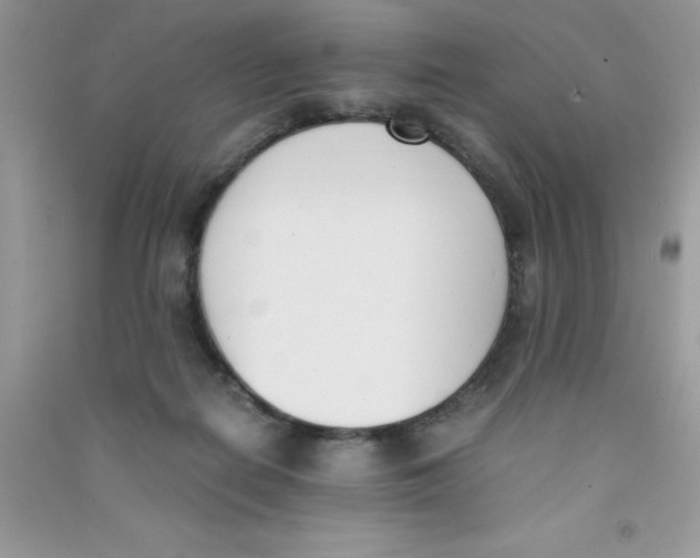 X0000090740266200708172013