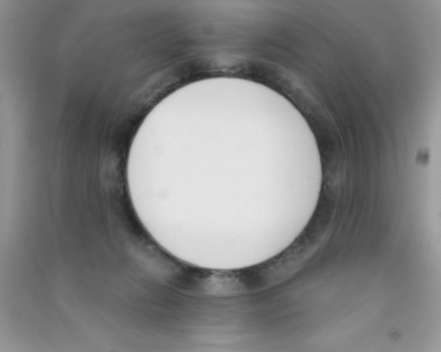 X0000090740270200708172013