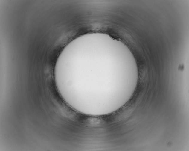 X0000090740272200708172013