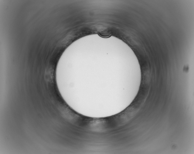 X0000090740274200708172013