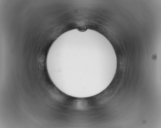 X0000090740275200708172013