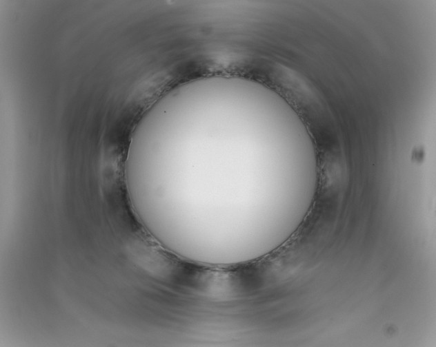 X0000090740276200708172013