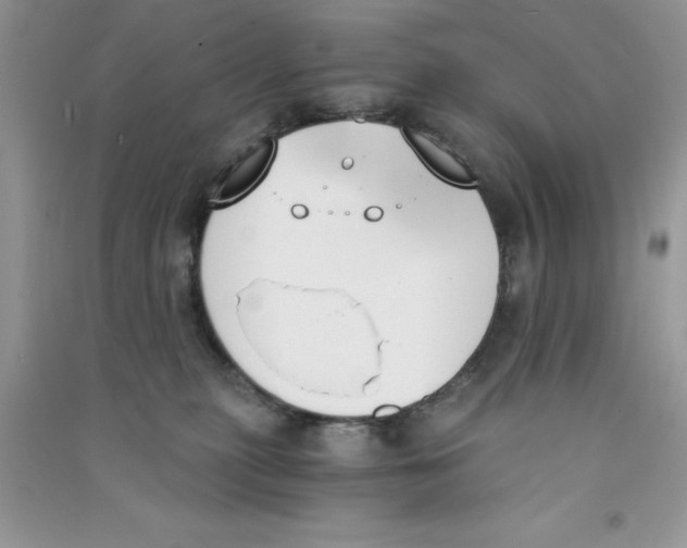 X0000090740279200708172013