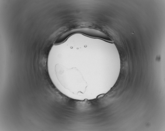 X0000090740281200708172013