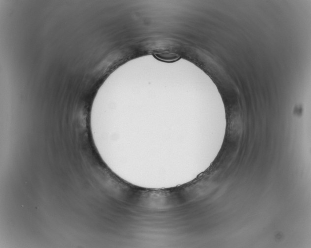 X0000090740282200708172013