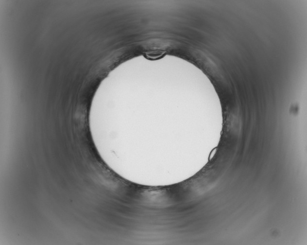 X0000090740283200708172013