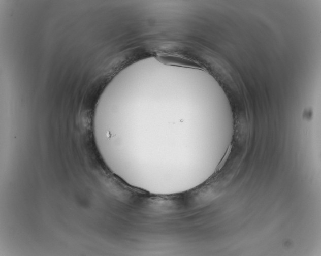 X0000090740284200708172013