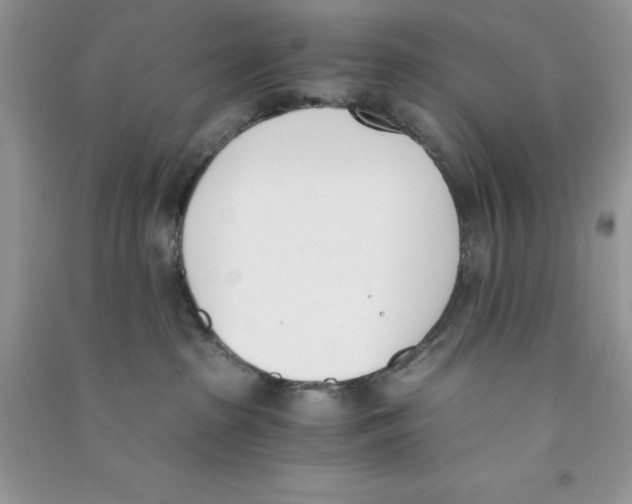 X0000090740285200708172013