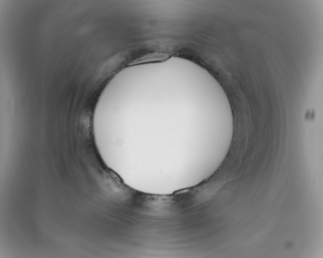 X0000090740288200708172013