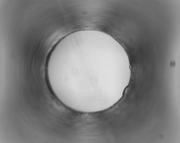 X0000090740290200708172013