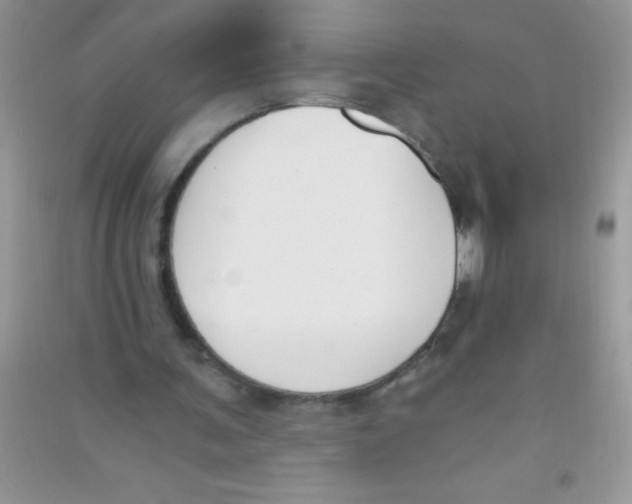 X0000090740291200708172013