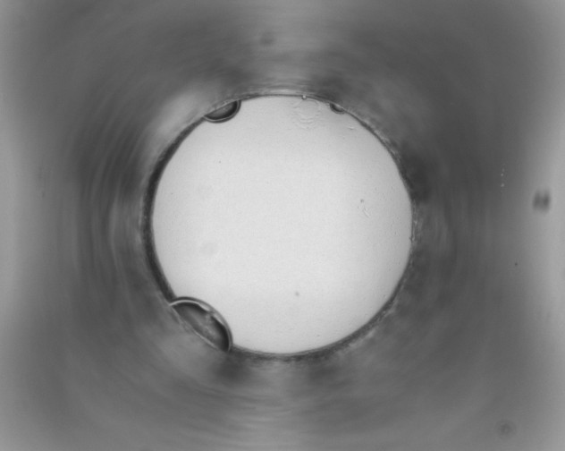 X0000090740293200708172013