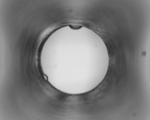 X0000090740294200708172013