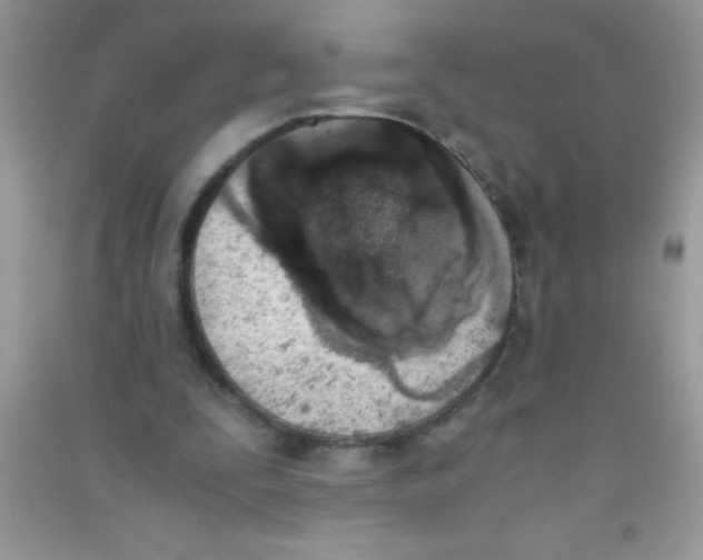 X0000090740295200708172013