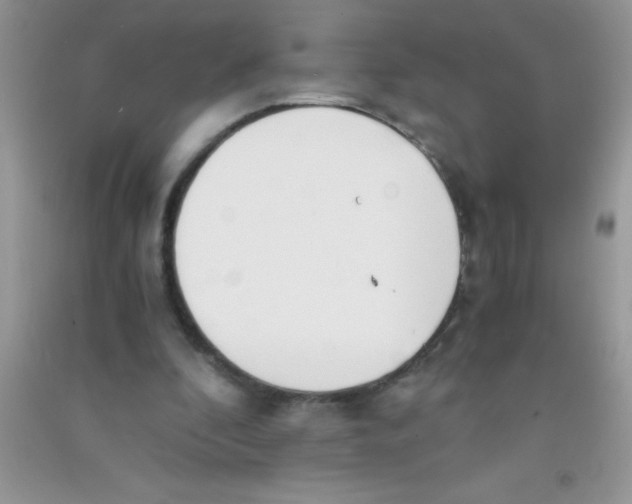 X0000090740296200708172013