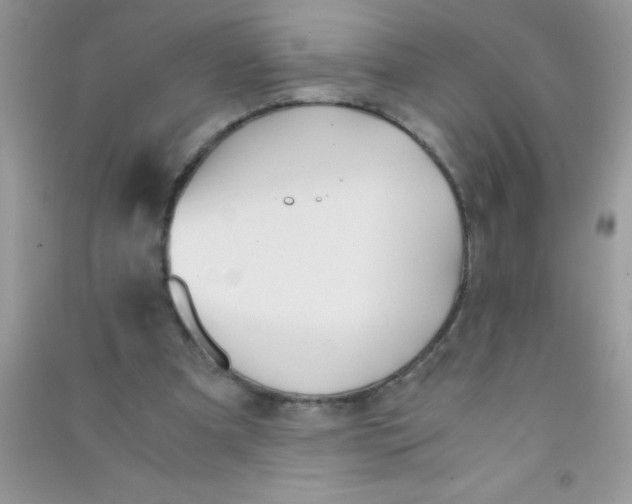 X0000090740297200708172013