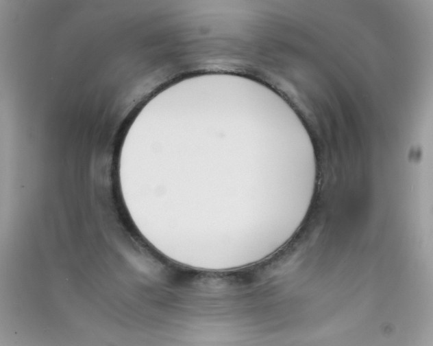 X0000090740299200708172013