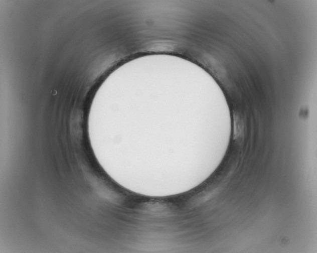 X0000090740300200708172013