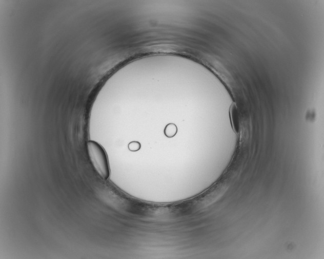 X0000090740301200708172013