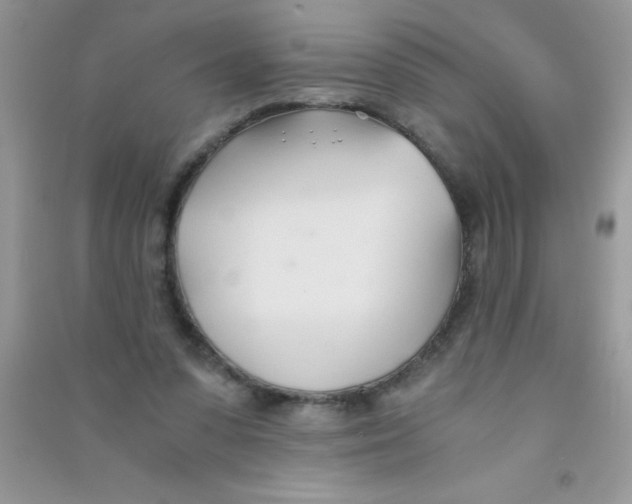 X0000090740303200708172013