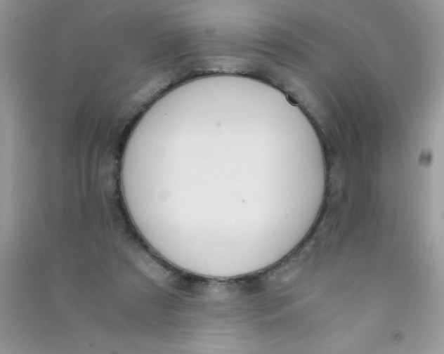 X0000090740305200708172013