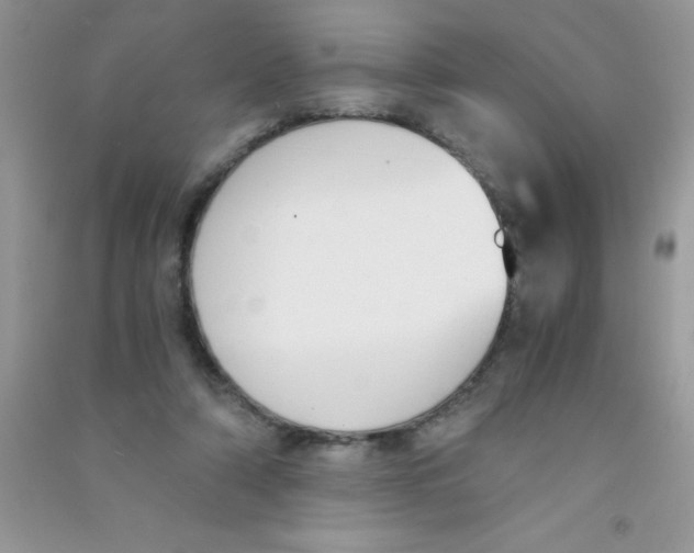 X0000090740306200708172013