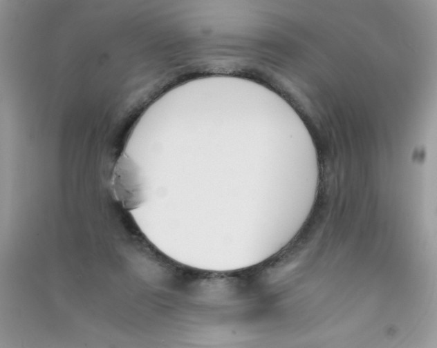 X0000090740307200708172013