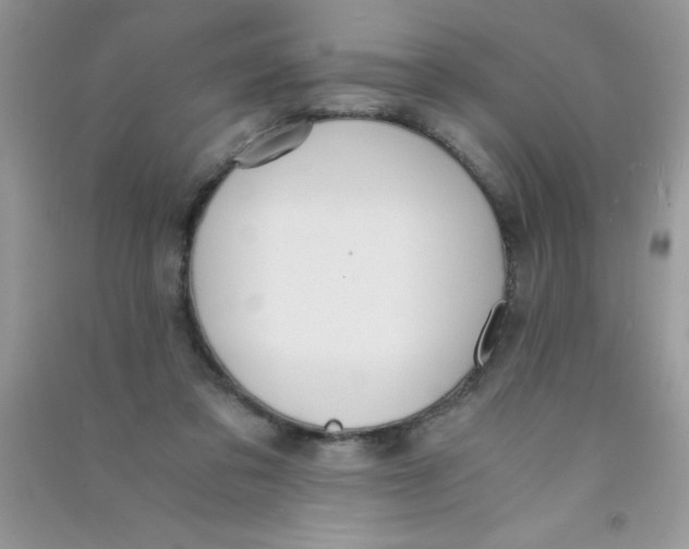 X0000090740309200708172013