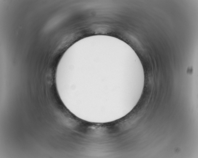 X0000090740311200708172013