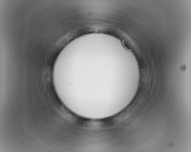 X0000090740313200708172013