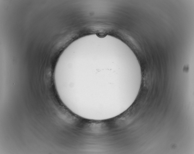 X0000090740314200708172013