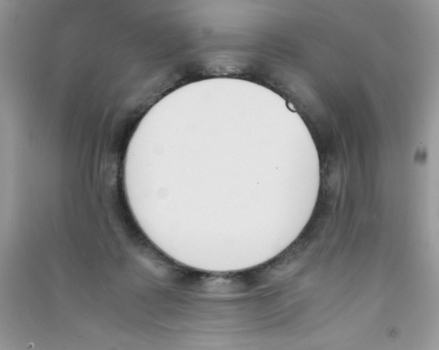 X0000090740315200708172012