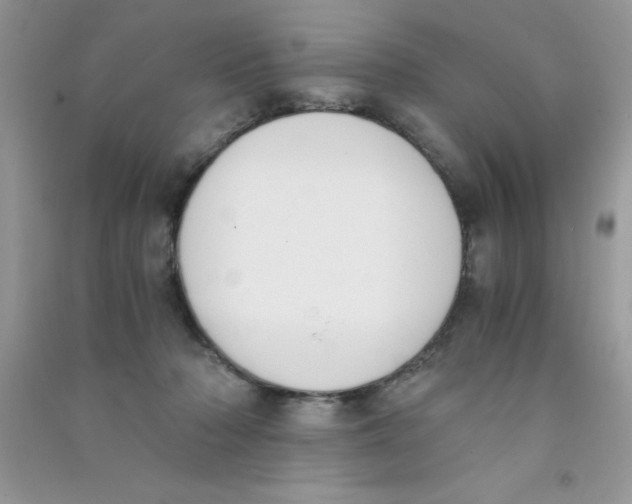 X0000090740318200708172012