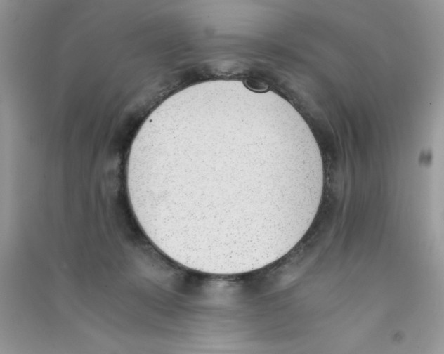 X0000090740319200708172012