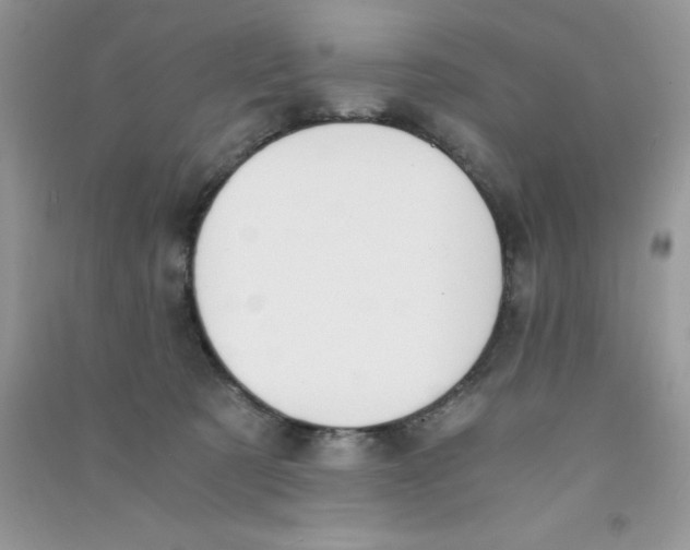 X0000090740321200708172012