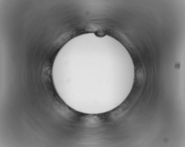 X0000090740322200708172012