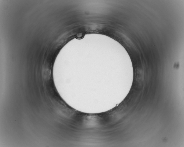 X0000090740324200708172012