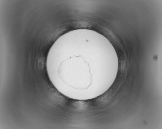 X0000090740326200708172012