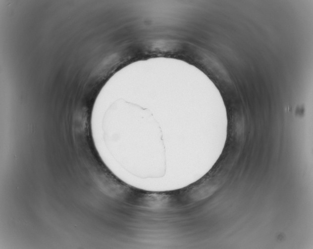 X0000090740328200708172012