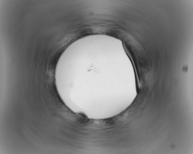 X0000090740329200708172012