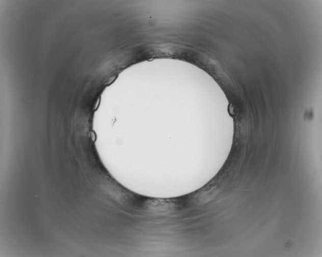 X0000090740331200708172012